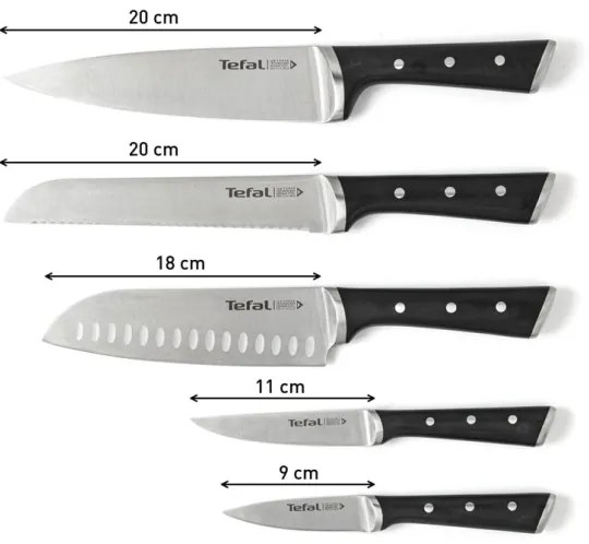 Tefal - Konyhai késkészlet állványban ICE FORCE 6 db