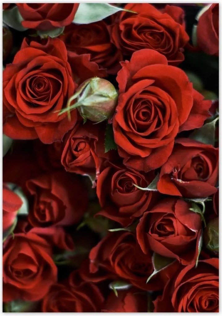 Poszterek 70x100 Nőnap Ajándék Love