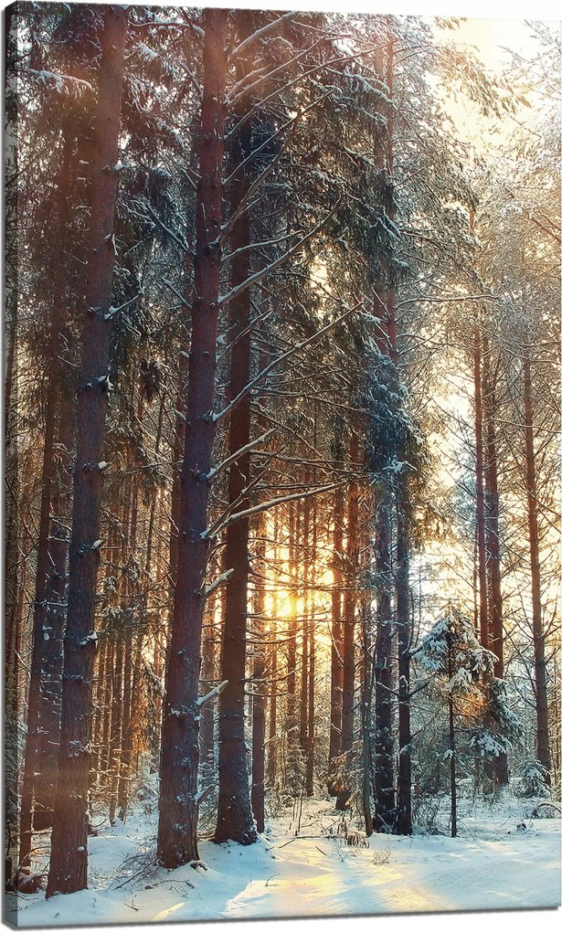 Vászonkép Erdő Tél Hó Fehér Természet 60x100 cm