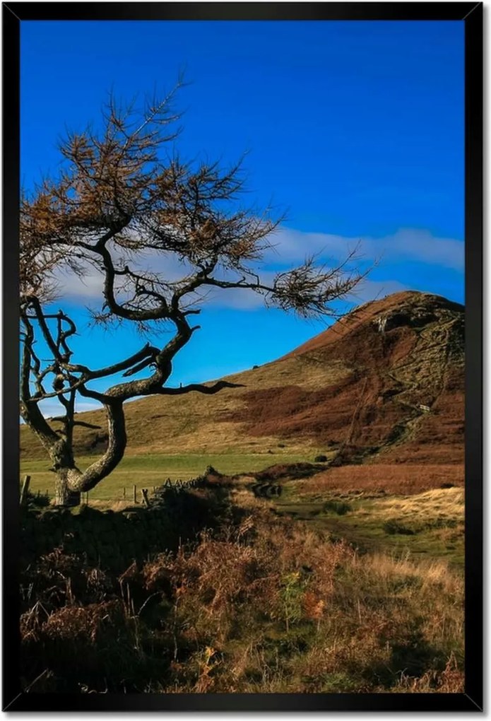 Poszterek keretben 40x60 Elpusztíthatatlan fa