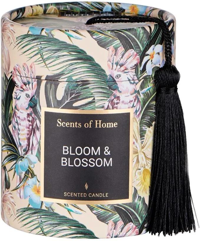 SCENTS OF HOME illatgyertya, Bloom & Blossom 8cm