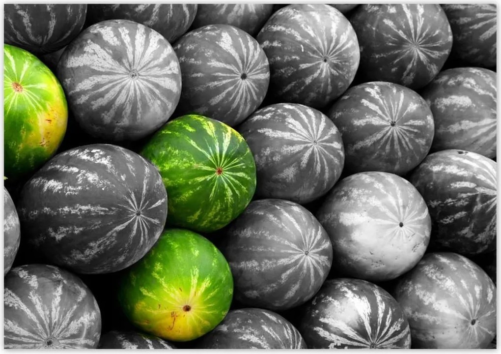 Poszterek 100x70 Három színes görögdinnye