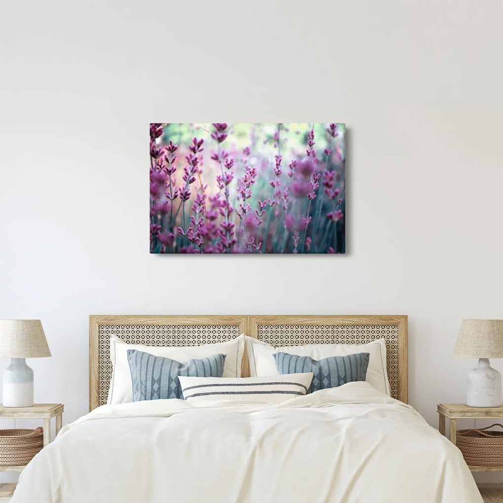 Kép - Levendula (90x60 cm)