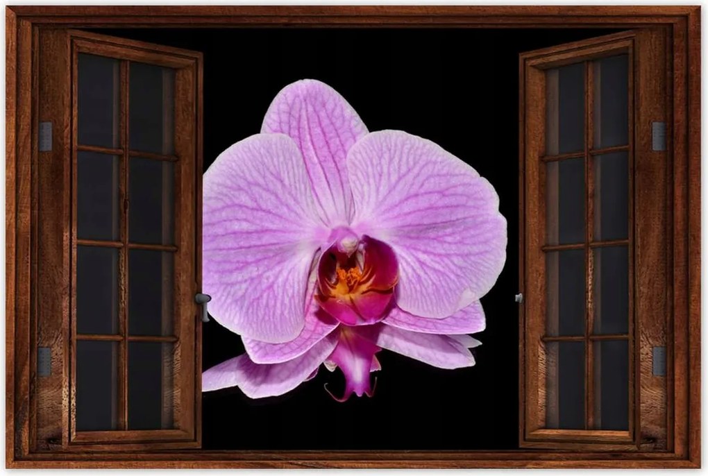 Poszter 60x40 Lila orchidea