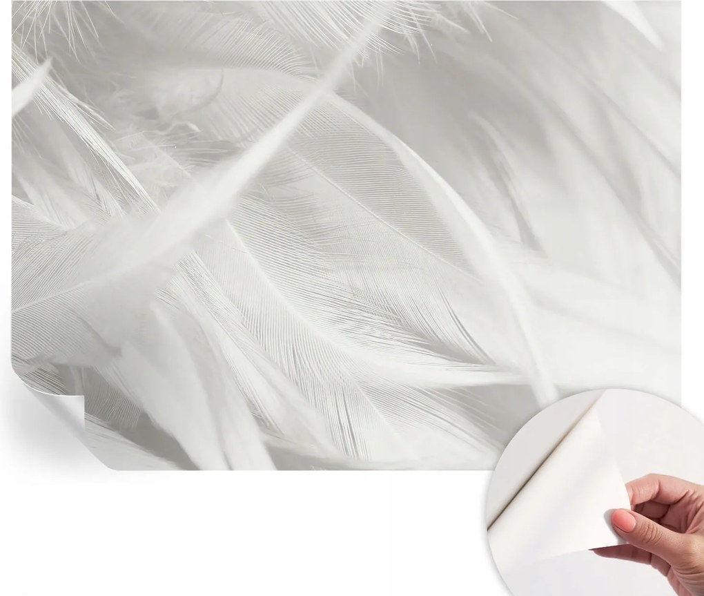 Modern öntapadós fotótapéta Mosható Finom tollak 312x219 cm