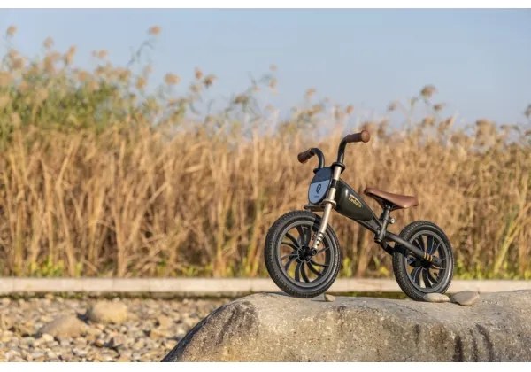 QPlay - Tolós bicikli FEDURO fekete/arany