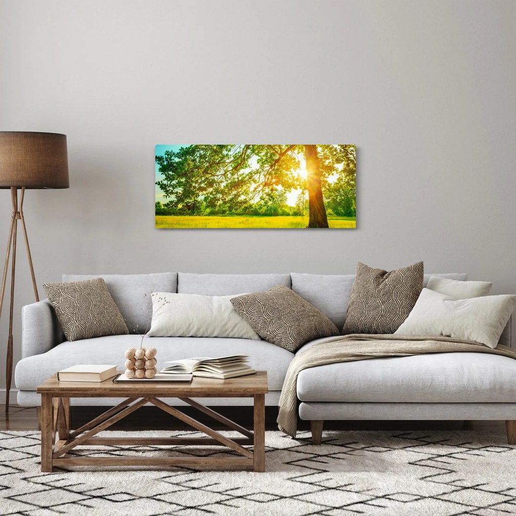 Kép - Sunny Forest (120x50 cm)