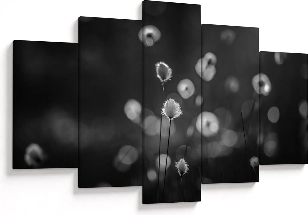 Kép - Pamutfű a réten (150x105 cm)