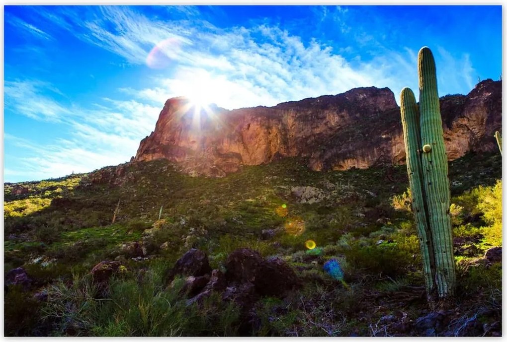 Poszterek 120x80 Tájkép kaktuszokkal