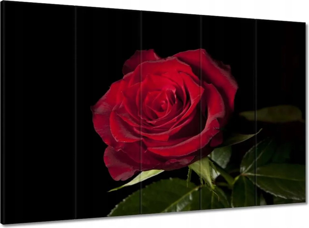 Vászonkép 100x70 Gyönyörű rózsa