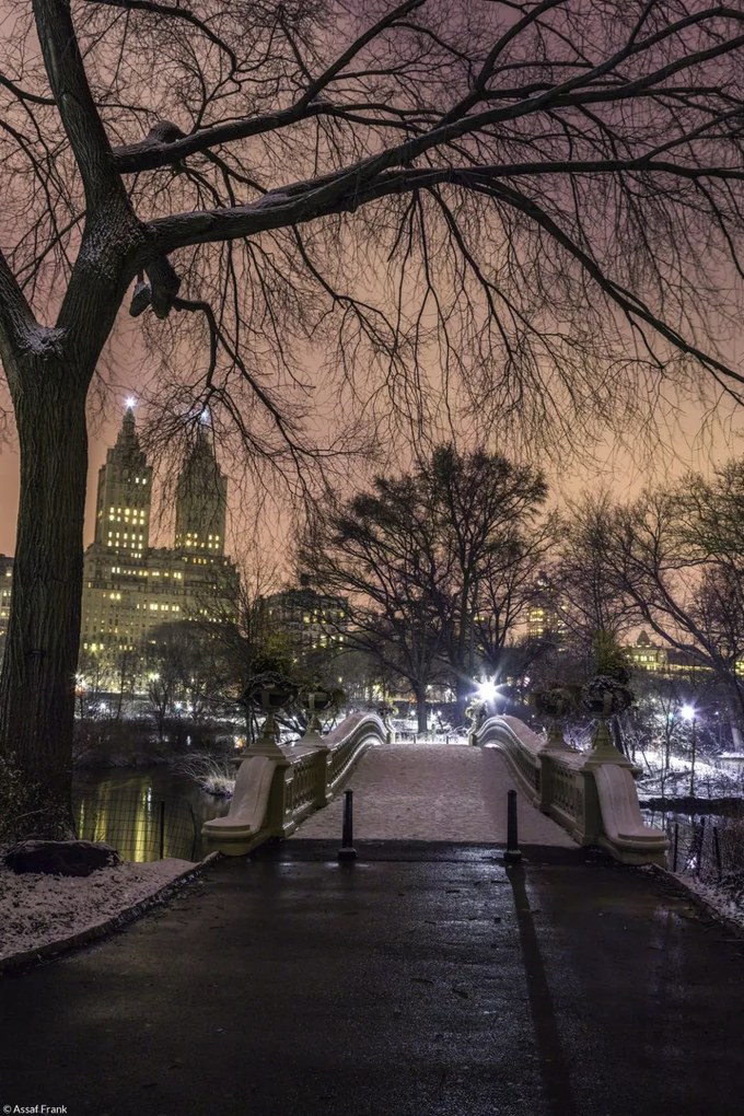 Poszter 20x30cm Esti kilátás a Central Parkra, Assaf Frank