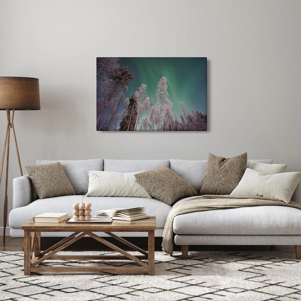 Az aurora borealis képe fagyos fák felett (90x60 cm)