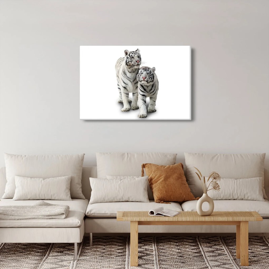 Kép - A fehér tigris (90x60 cm)