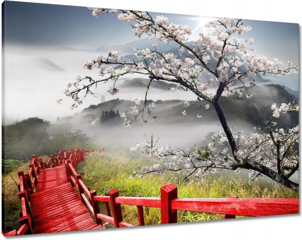 Vászonkép 100x70 Vörös híd Japánban