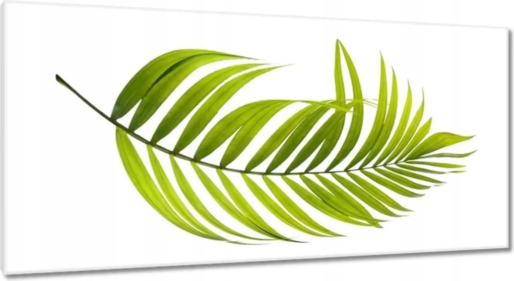 Festmények 115x55 Zöld levél Minimalizmus