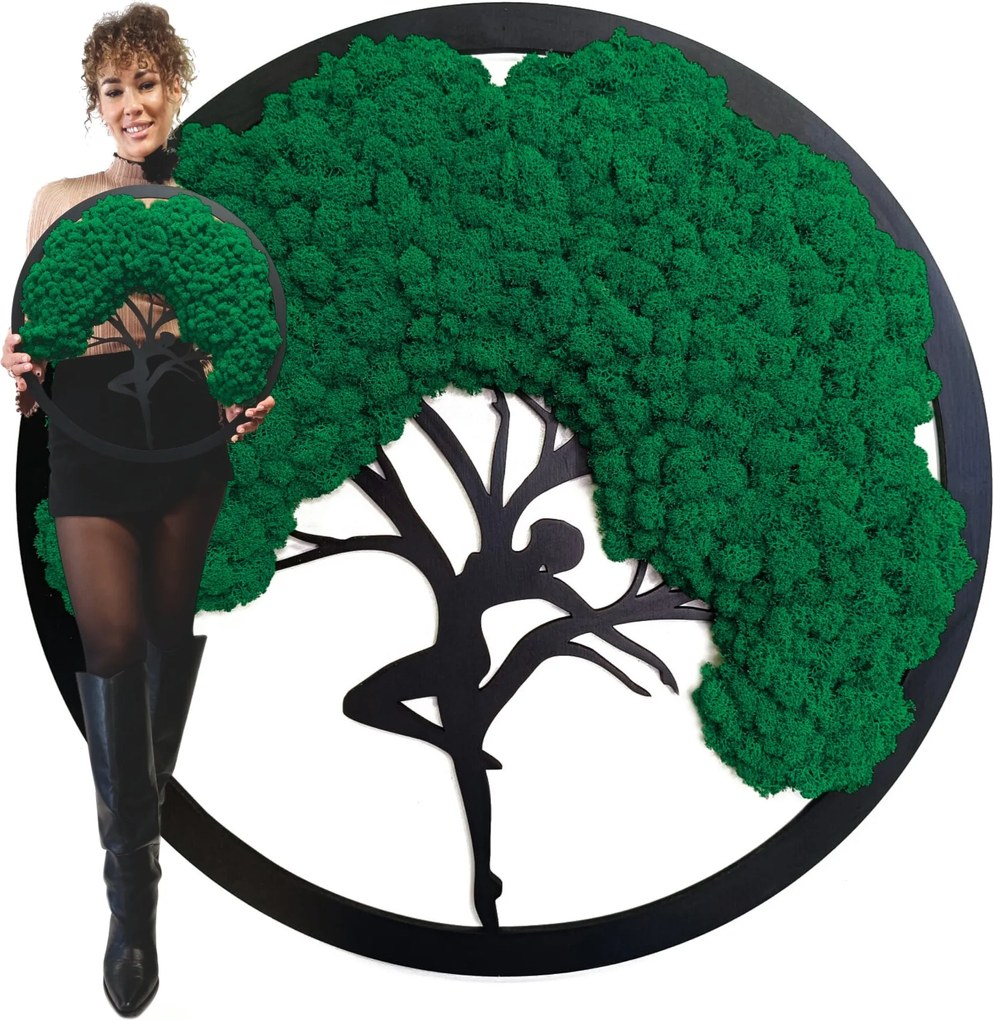 Vászonkép Moha Bonsai Fa Moha Fa Ajándék 50cm