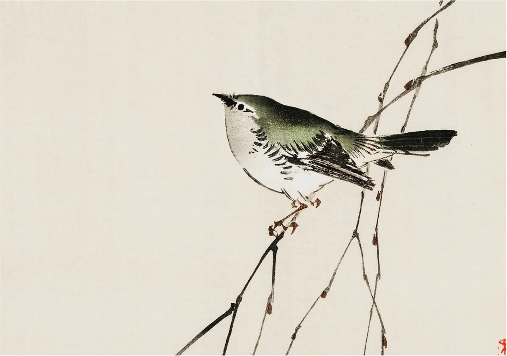 Dekoratív fotótapéta az irodába Harmonikus madár 312x219 Ragasztó