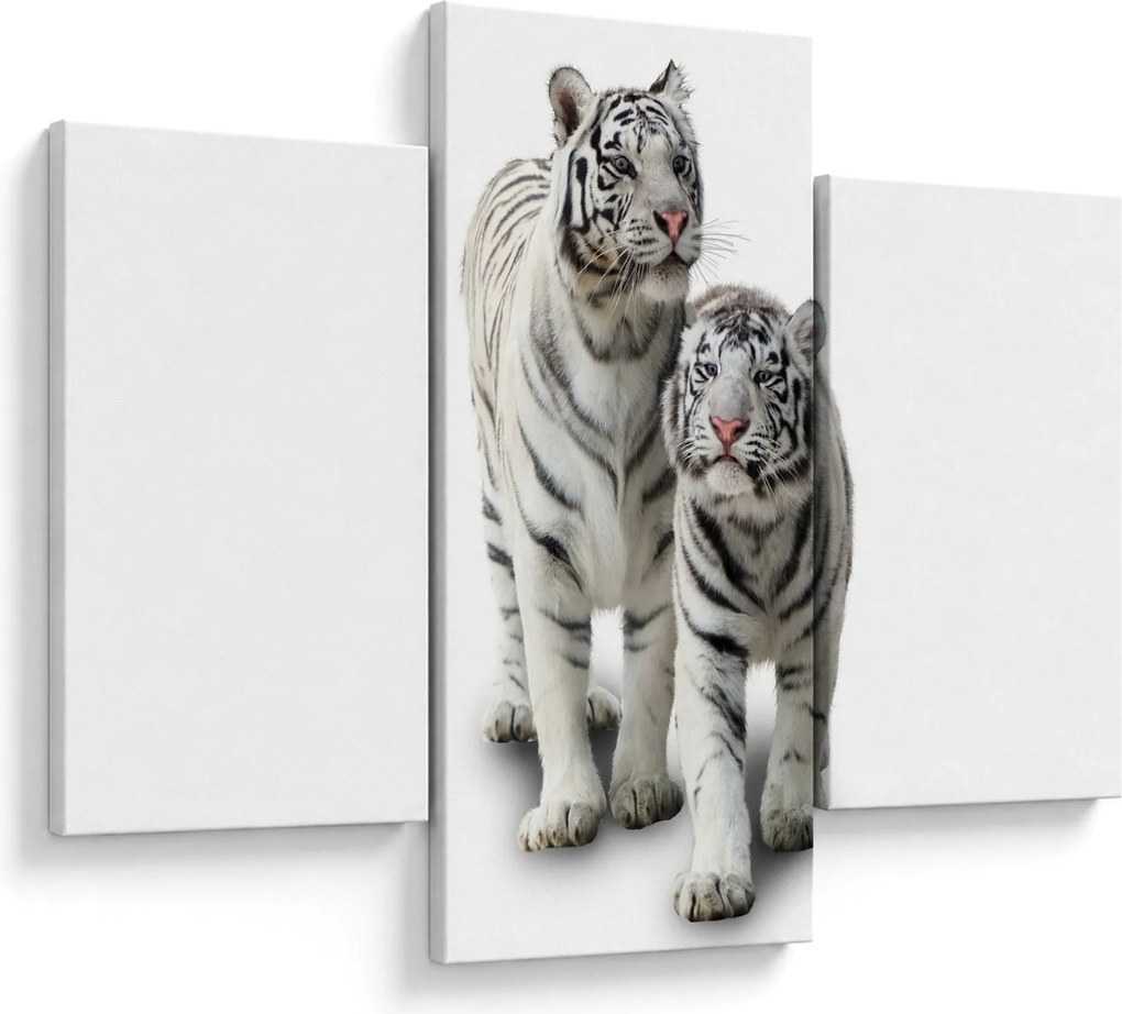 Kép - A fehér tigris (90x60 cm)