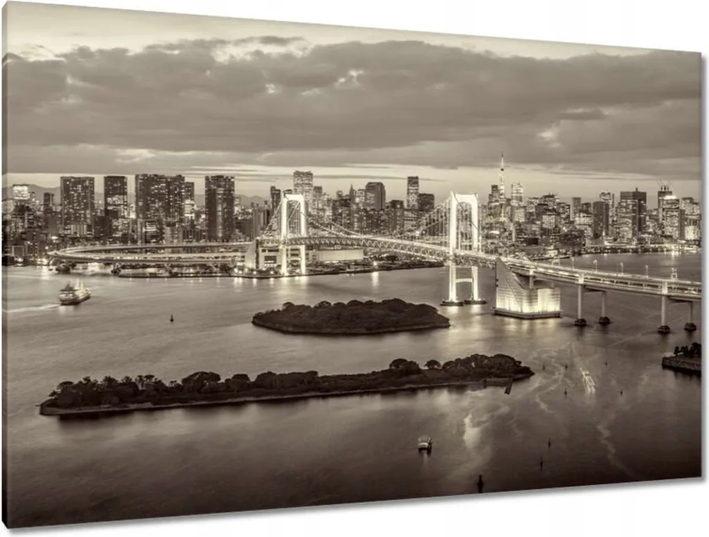 Képek 120x80 Szivárványhíd Tokióban