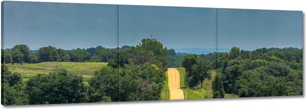 Vászonkép 60x20 Út Rét Mező Erdő