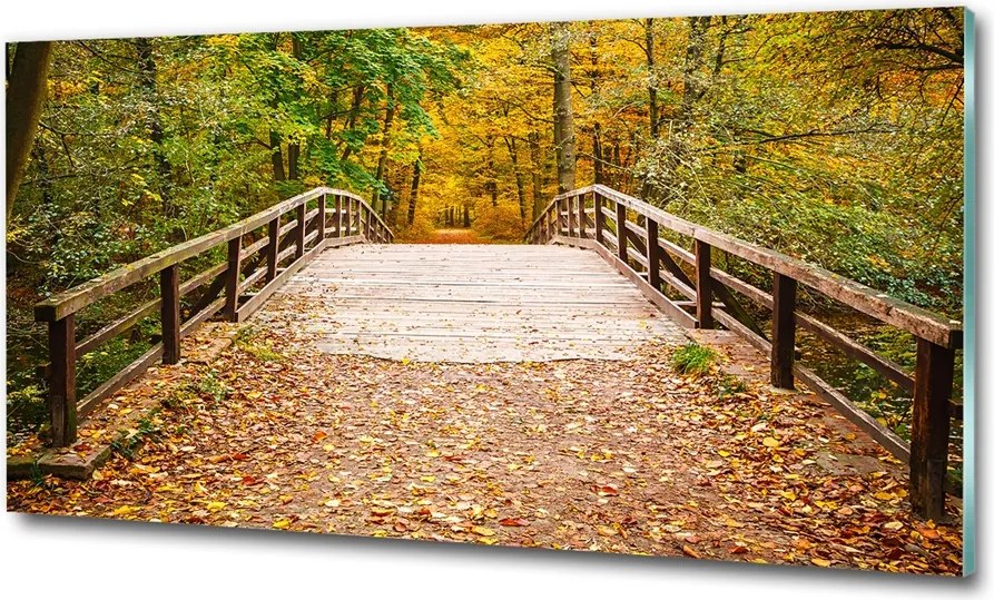 Fotó üvegkép Vízesés az erdőben 125x50