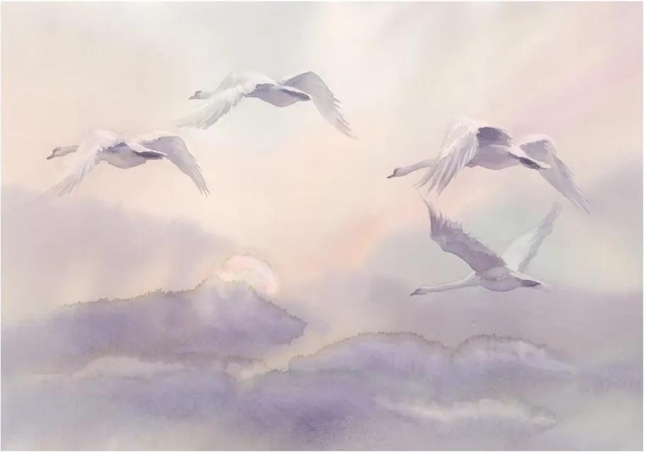 Flying Swans nagyméretű tapéta, 200 x 140 cm - Artgeist