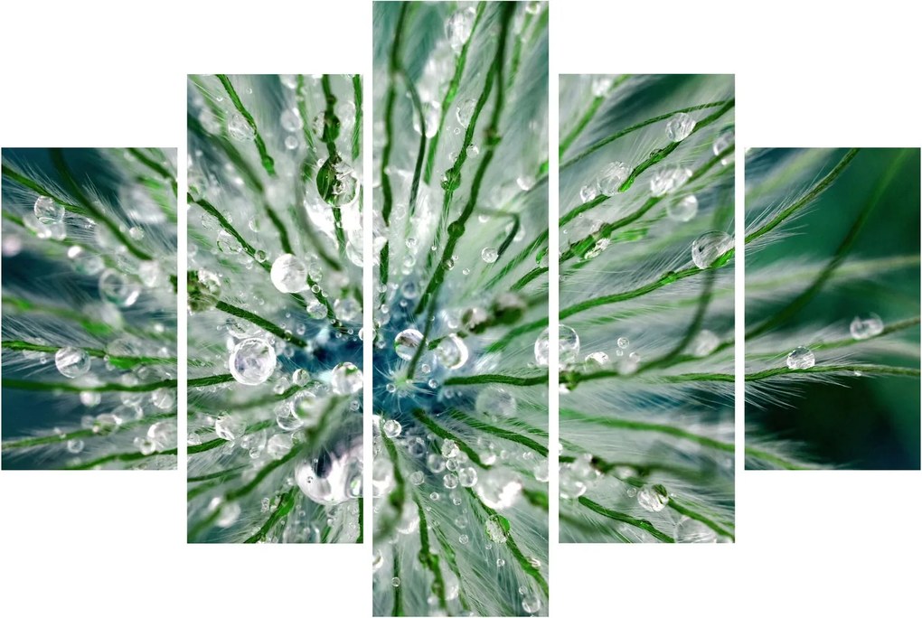 Kép - Makro kép egy virágról (150x105 cm)