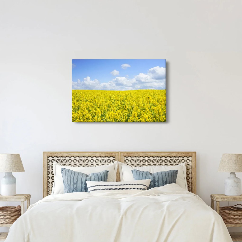 Egy sárga mező képe (90x60 cm)