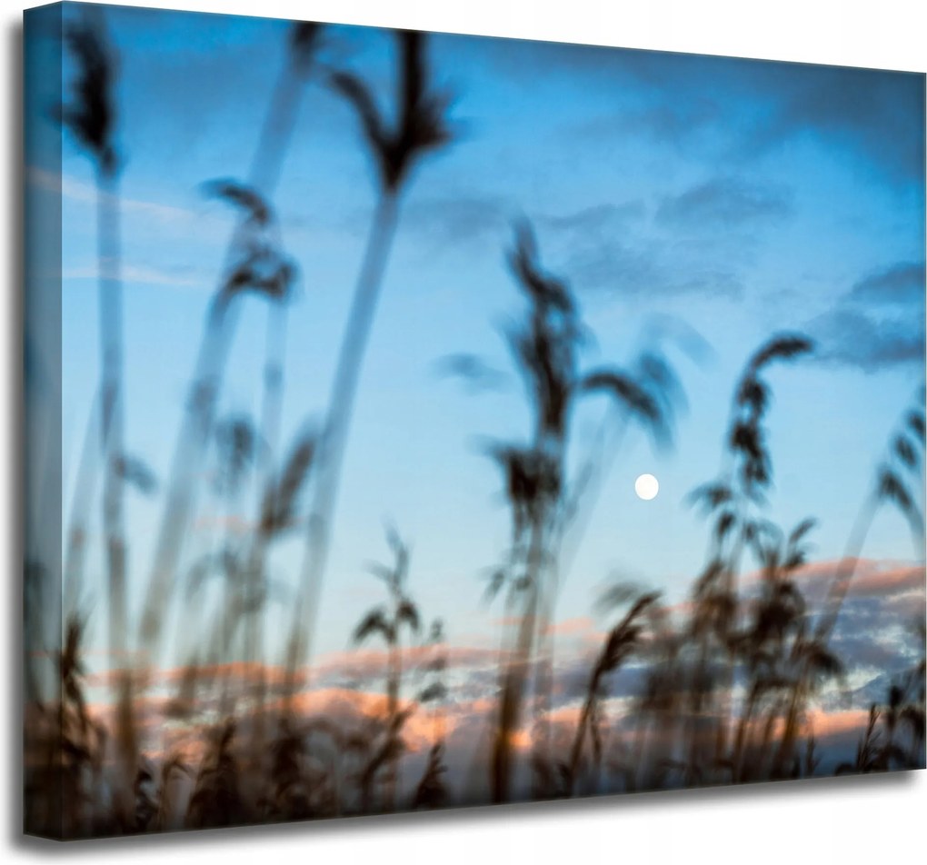 Vászonkép Természet Mező Rét Napfelkelte 50x40