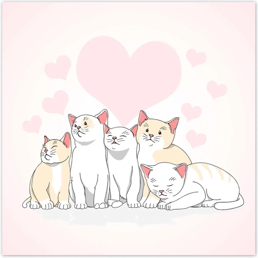 Poszterek 30x30 Cica Cicák