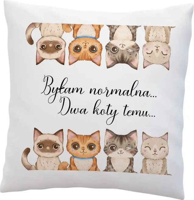 Macskabarát párna- fehér sima- Normális voltam, két macskával ezelőtt.