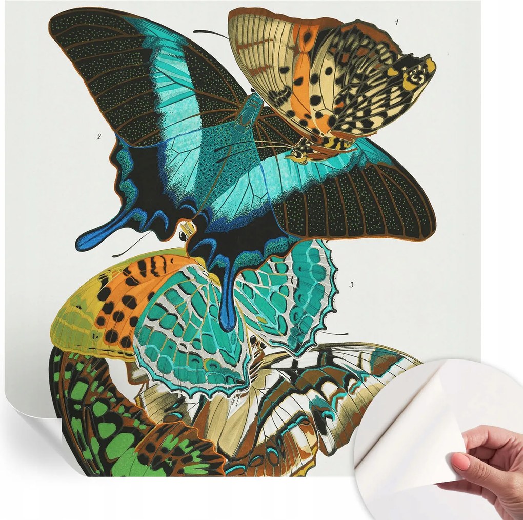 Modern öntapadós fali fotótapéta Színes pillangók 250x250 cm