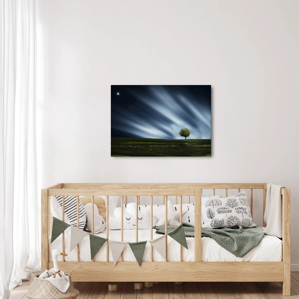 Az aurora borealis képe egy lápvidéken (70x50 cm)