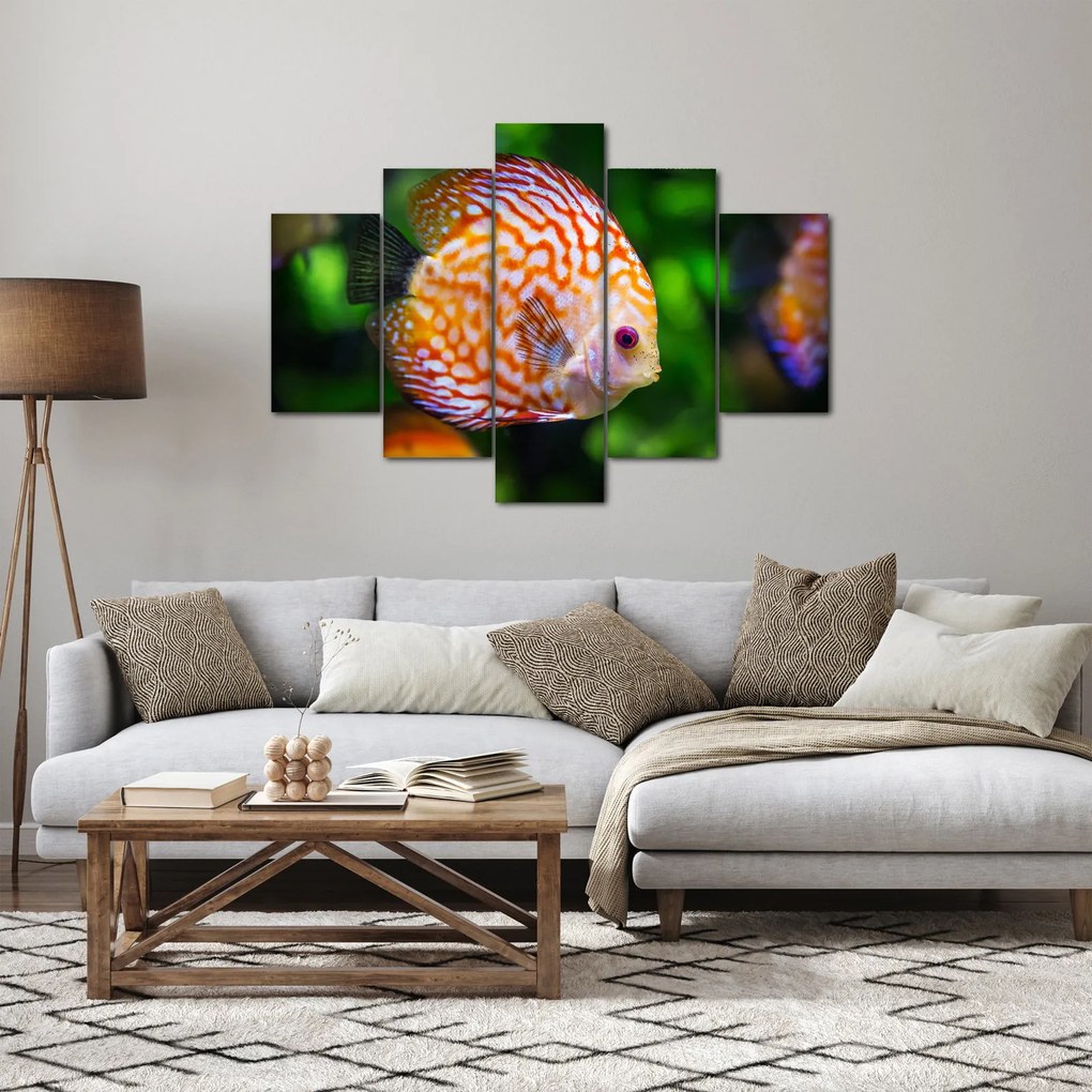 Egy hal képe (150x105 cm)