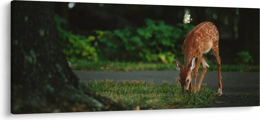 Gida képe (120x50 cm)