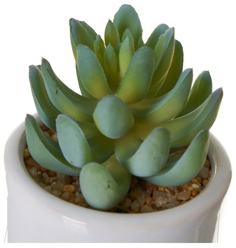 Művirág szett 4 db-os Cactus – Casa Selección