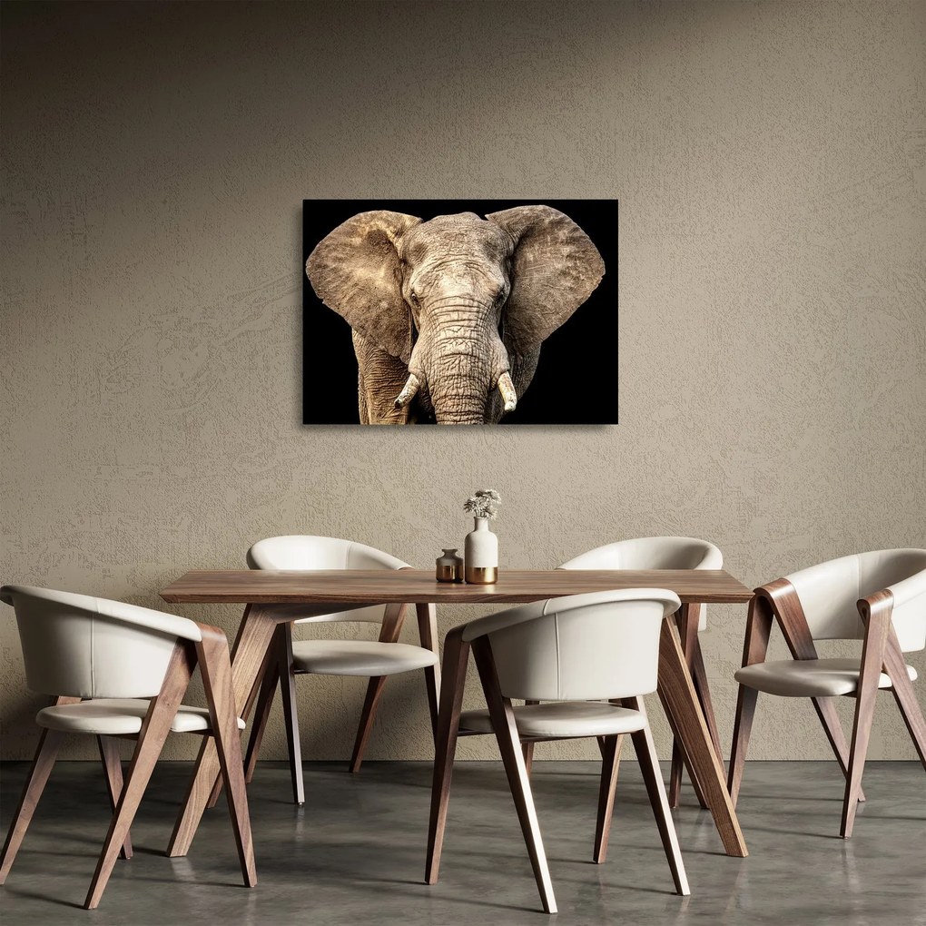Üveg kép - Afrikai elefánt (70x50 cm)