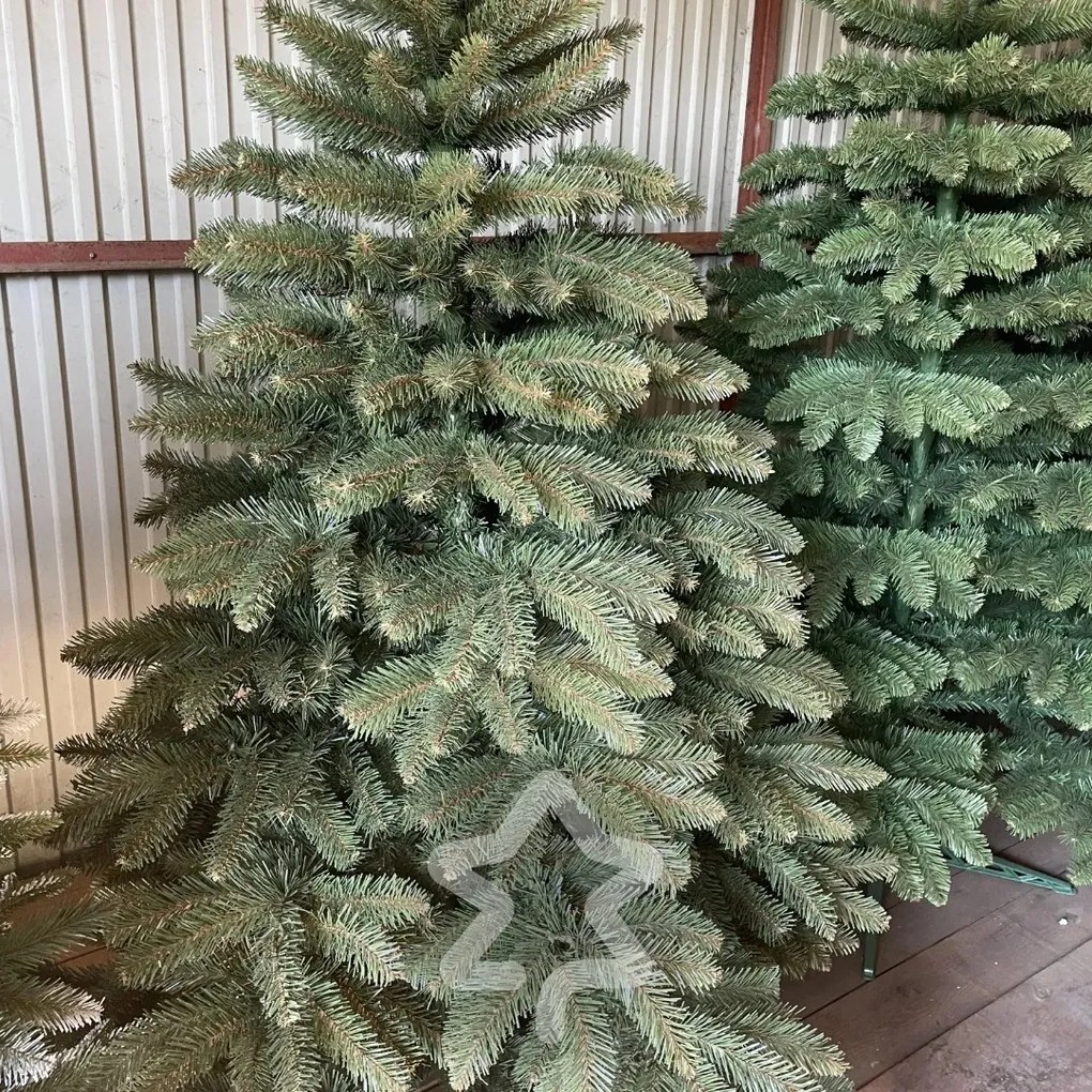 Kaukázusi lucfenyő 2D 220 cm
