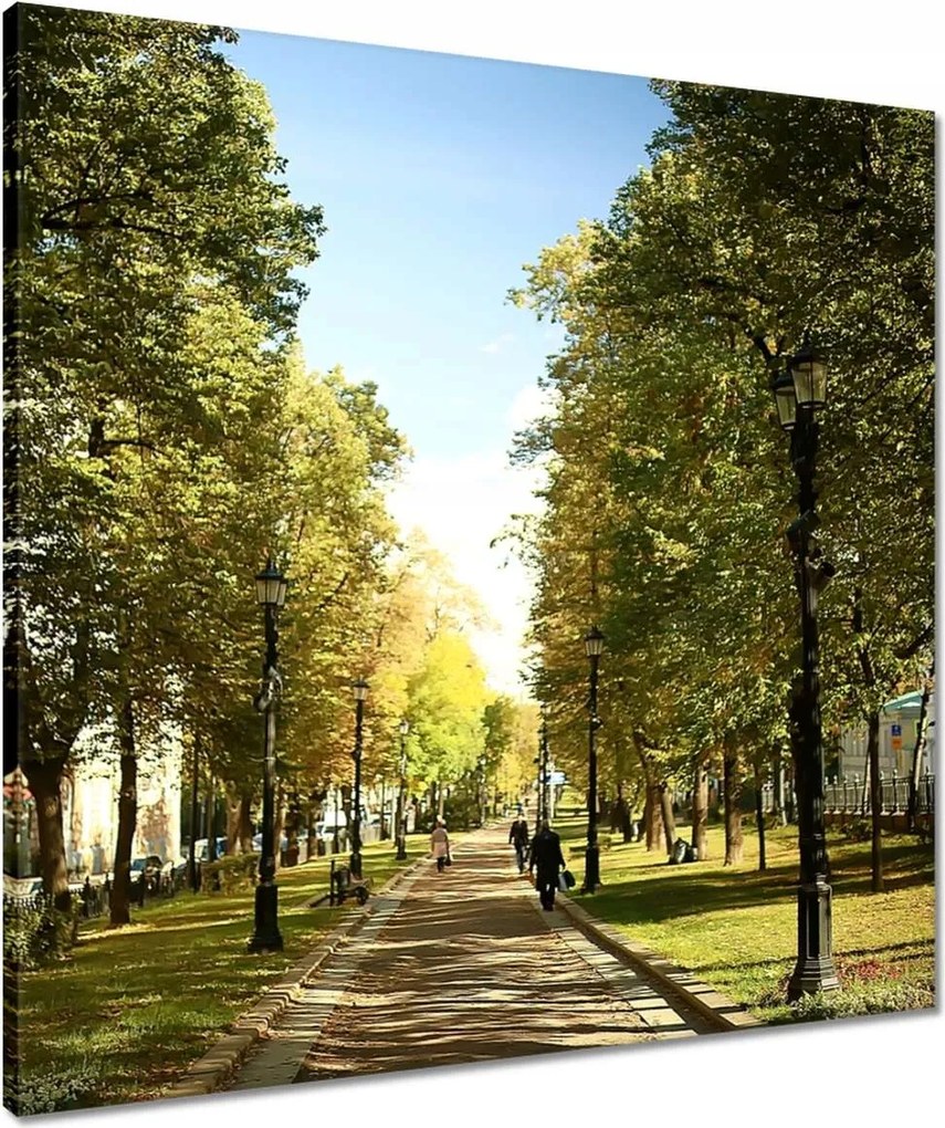 Vászonkép 60x60 Park a nyári időszakban