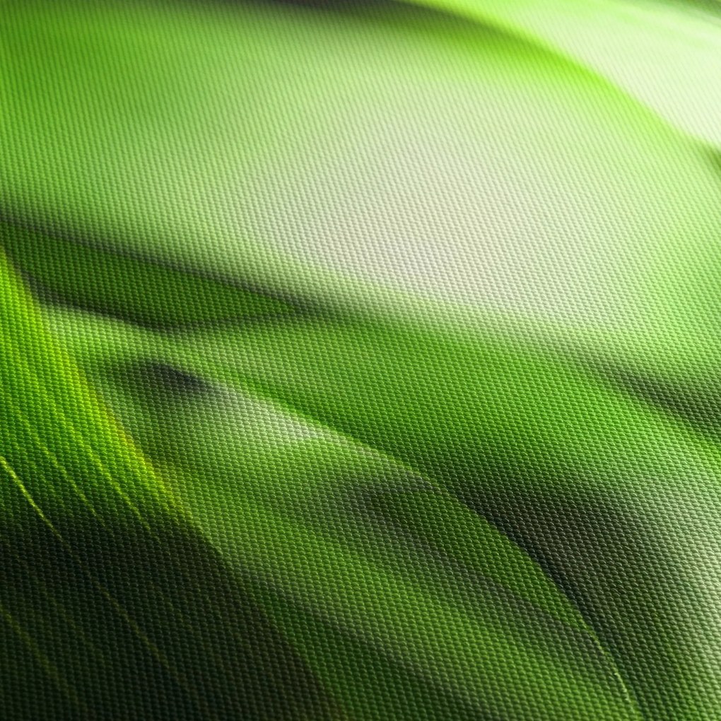 Kép - Egy fűszál (120x50 cm)