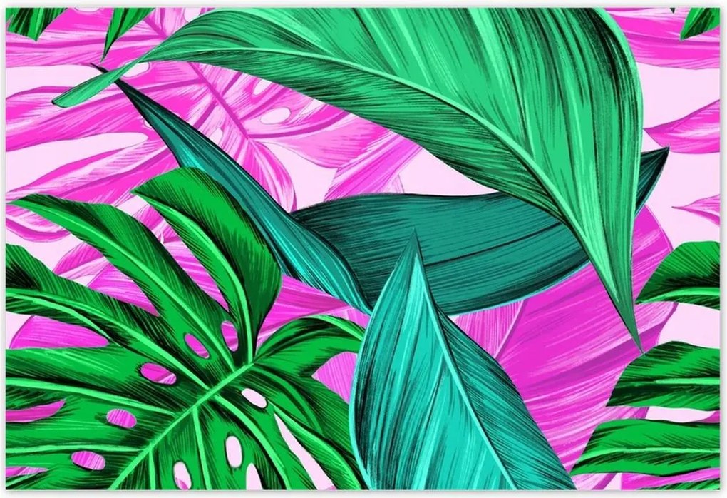 Poszterek 155x105 Levelek Monstery Trópusok