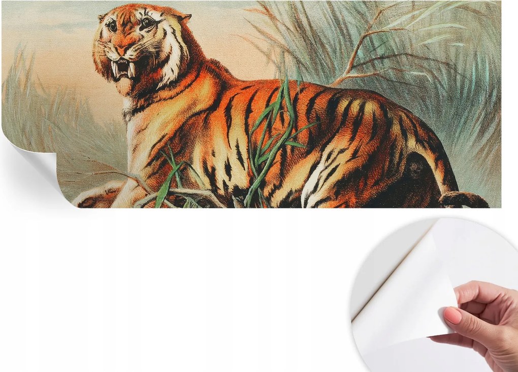 Dekoratív öntapadós fotótapéta Hálószobába Tigris természet 250x104 cm