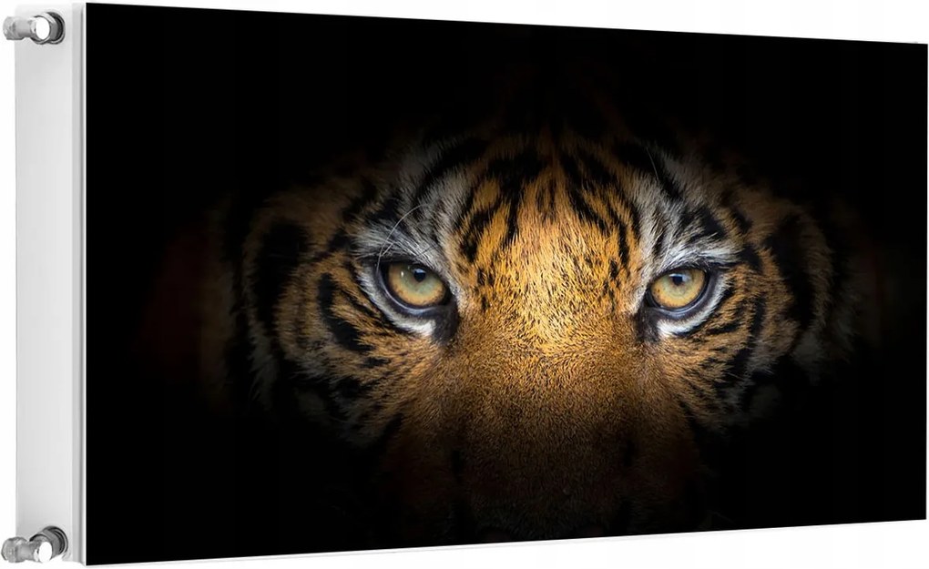 Mágneses Radiátorszőnyeg 100x60 Tigris Fotótapéta