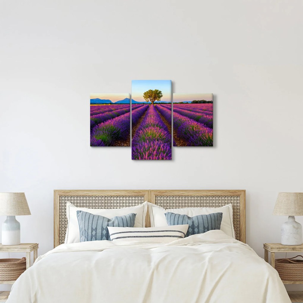 Kép - Levendula mező (90x60 cm)