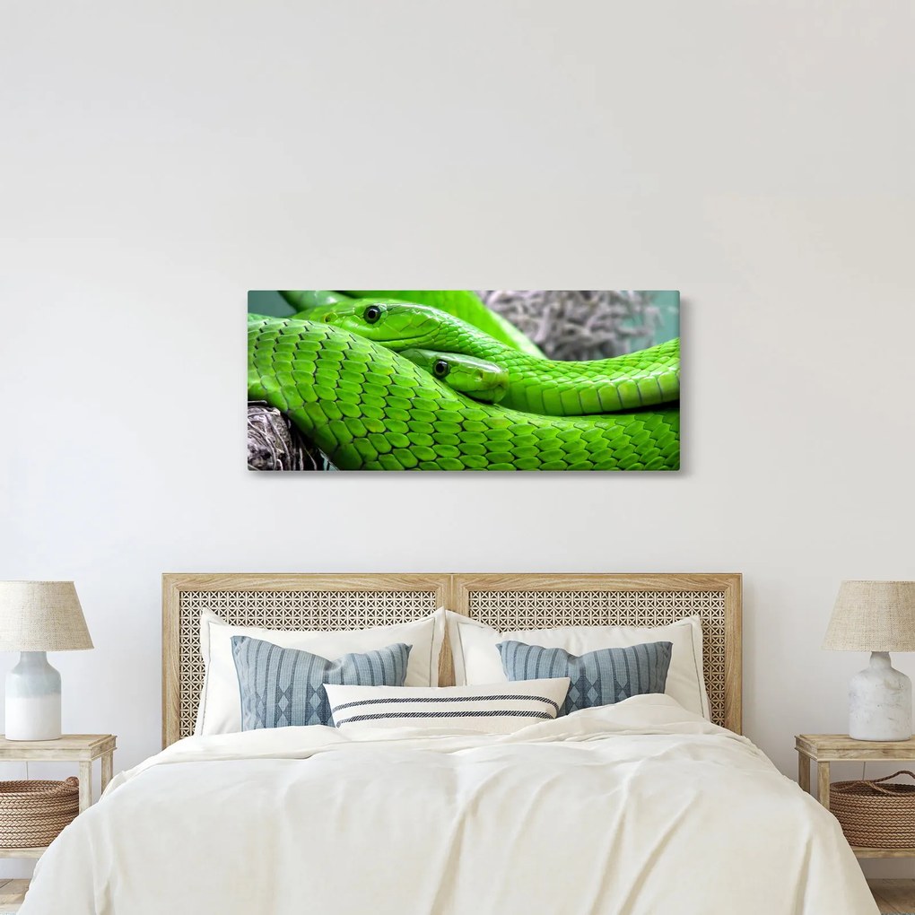 Zöld kígyók képe (120x50 cm)