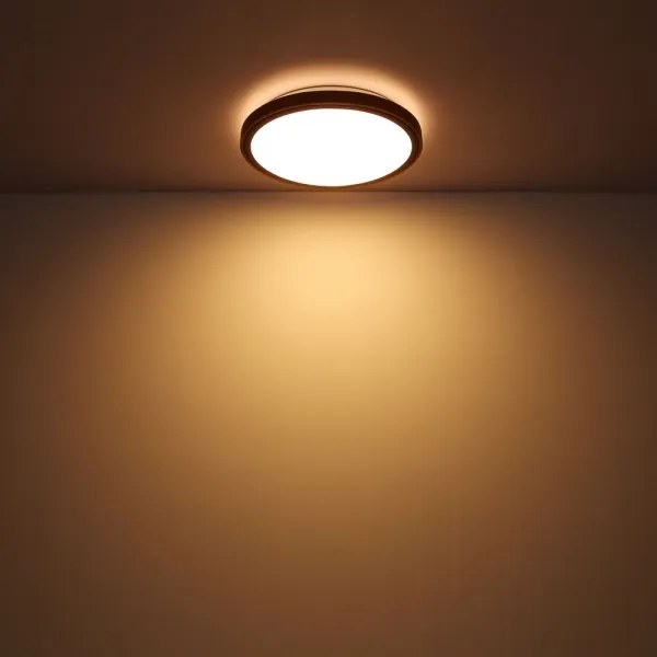 Globo 41764-12 - BRUNO LED mennyezeti lámpa 12W, 307 mm, 3000-6000K