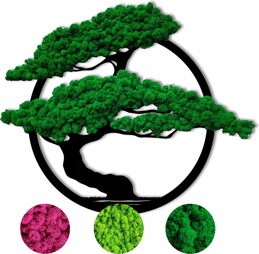 Fa mohás moha 40cm Bonsai kerek moha Élő Kép