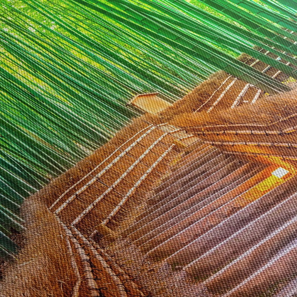 Kép - Japán bambusz erdő (90x60 cm)