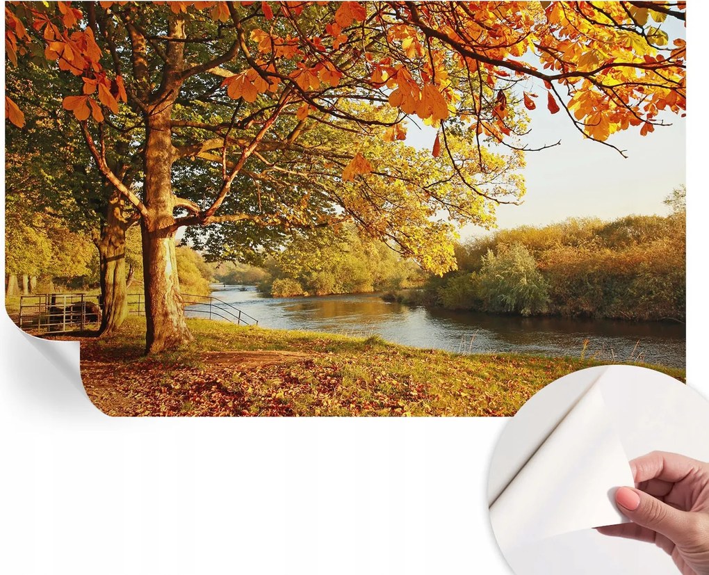 Öntapadós fotótapéta Divatos Őszi tengerpart 416x254 cm