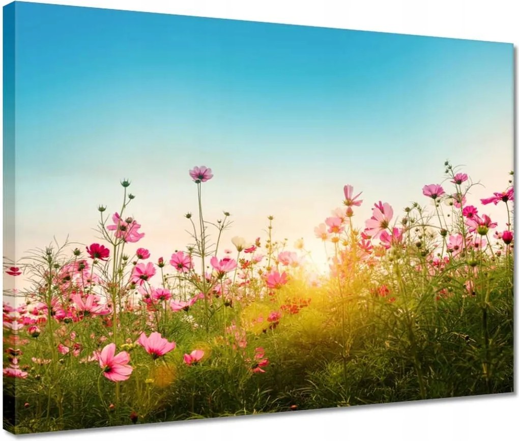 Vászonkép 40x30 Kozmikus virágok